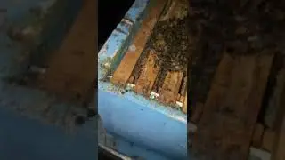 посмотрел зимовку 17.01.2024