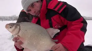 THREE FISH ON EACH HARVESTER! CHUPA CHUPS RULES! BREAM, IDE on bloodworms!