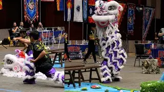 USDLDF National Dragon and Lion Dance Championships 2023 cubs kids TCT Austin Texas- mua lan 4K