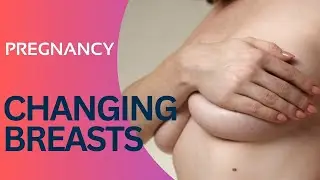 PREGNANCY | BREAST CHANGE | PREGNANCY PERIOD