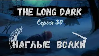 The Long Dark#30-Режим хомяка(Голос Бури)