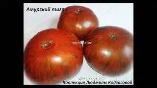 ХИТЫ 2021 ГОДА!!! Часть 2