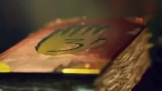 Gravity Falls - Read