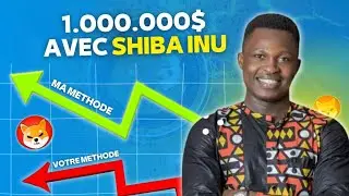 Shiba Inu 1.000.000$ en 1 ans - l'histoire Incroyable de Justin Mortode