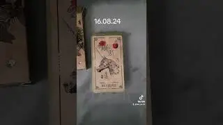 Карта дня на 16.08.24 #гадание #тароонлайн #гаданиеонлайн #картытаро #картадня