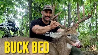 Bowhunting a Buck's Bed....7 Yard Shot!!  #hunting
