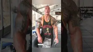 the rock or Roman reigns? 