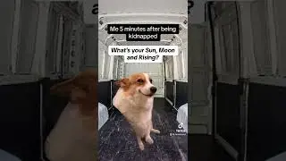 #celiastarot