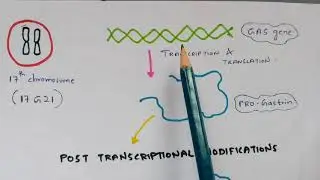 Gastrointestinal hormones | Gut Hormones | Mode of action | Gastrin hormone | Bio science