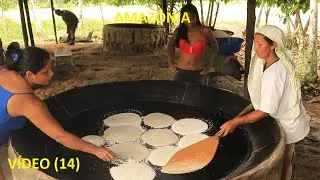 17 DAYS IN A RIVERSIDE COMMUNITY AT LAGO AMANÃ - AMAZONAS. VIDEO (14)