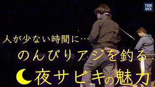 Fish for horse mackerel while avoiding crowded times! For those who like to take it easy, night s...