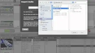 Importing into Aviary