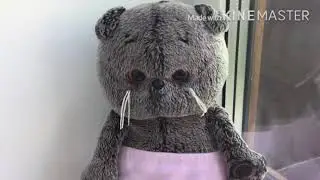 Наш вечер // Басик и компания ❤️