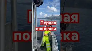 Рыбалка в Норвегии на острове Vandve