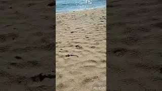 МОРЕ волнуется раз..... #love #море #берег #октябрь