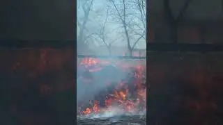 Поджигателей пороть!