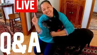 16 Things I don't buy anymore in 2020-2021 Q&A | Money saving