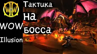 Illusion wow Ониксия Тактика