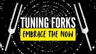 Embrace the Now & Find Your Purpose ⏰ 432 Hz + 111 Hz Tuning Forks