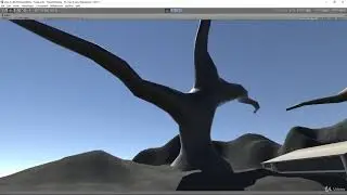 8  Import Standard Assets Let's Walk Around