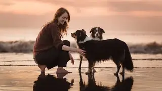Urlaub mit Hund in Holland, Zandvoort - Hundevideografie - Australian Shepherd