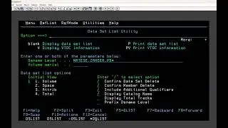 How to use multiple INCLUDE conditions in SORT | All About Mainframes