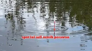 SPOT PEDALAMAN SUMATRA SELATAN TERYATA ADA YG MASIH PERAWAN