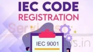 How to obtain IEC - import export code