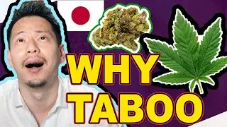 MARIJUANA The secrets of Japanese taboo THC & CBD
