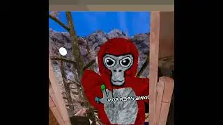 Project discord. pt.2