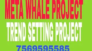 META WHALE PROJECT, TREND SETTING PROJECT.   7569595585.