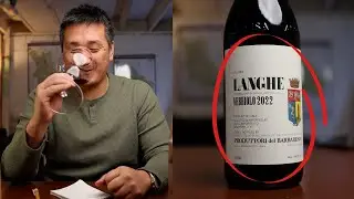 Can't afford BAROLO? Try THESE WINES instead!!!
