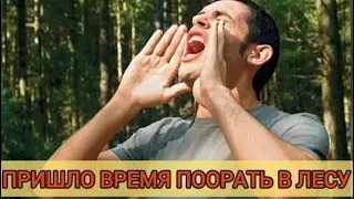 Отвезём в лес поорать, чтобы избавиться от стресса