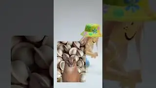 ОТВЕЧАЮ НА ВОПРОСЫ ЖИТЕЛЕЙ СВОЕГО ГОРОДА) 