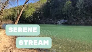 Fishing in Crab Orchard Tennessee Serene Stream