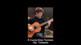 Russian folk song fingerstyle "Vo sirom boru tropina"