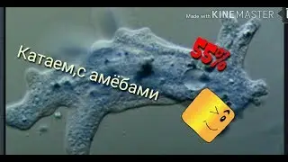 Вечерний пабг! (донат в описании)