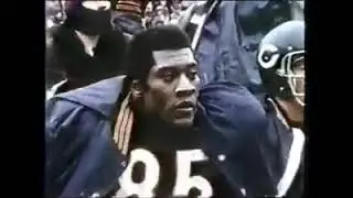 Black an Blue Division NFC North History