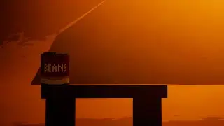 Can