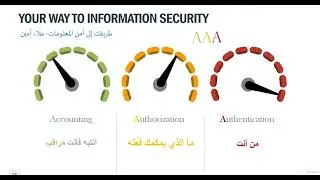 CIA عناصر وأهداف الحماي