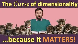 What is Curse of Dimensionality? How Feature Extraction & Feature Selection can help? | Data Science