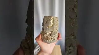 10 августа 2024 г.