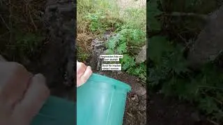 För mycket skräp i tunnan för att kunna använda det till Rainbird lösningen... Behövs filter!