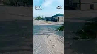 Пемка Навобод