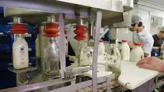 BOTTLING MILK | at the dairy farm