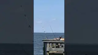 Why I don’t get a bite? 😅