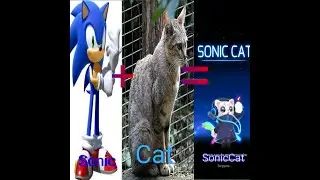 Эволюция игры SonikCat.