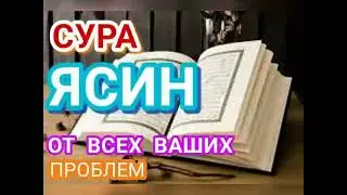 СУРА ЯСИН   ОТ ВСЕХ ВАШИХ ПРОБЛЕМ