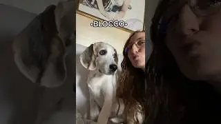Quando vivevo a casa di mia madre 😂