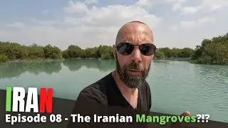 Mangroves? Is this REALLY IRAN?! Qeshm Island in the Persian Gulf (Travel Vlog)